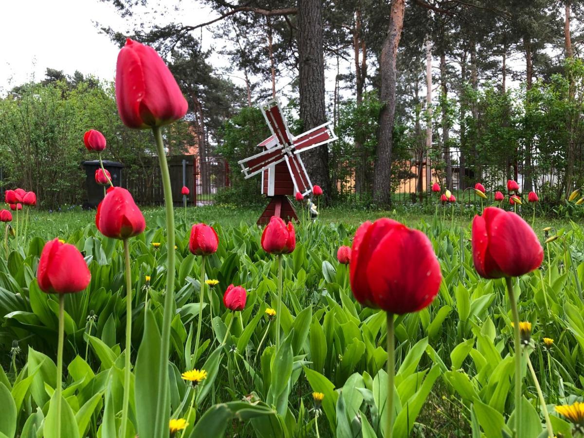 Lovely Nest In Nomme Tallinn Buitenkant foto