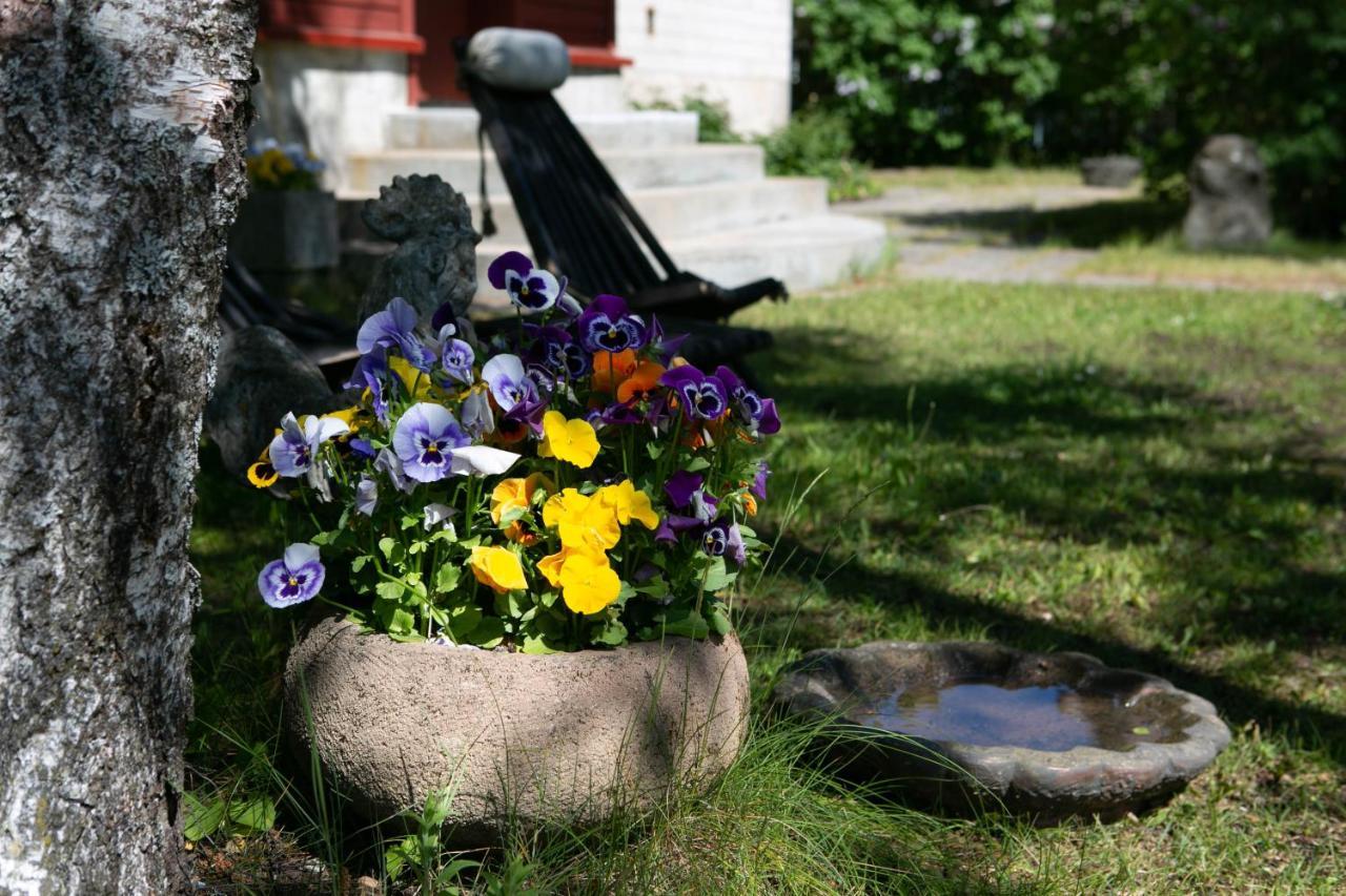 Lovely Nest In Nomme Tallinn Buitenkant foto